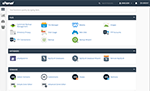 cPanel server license